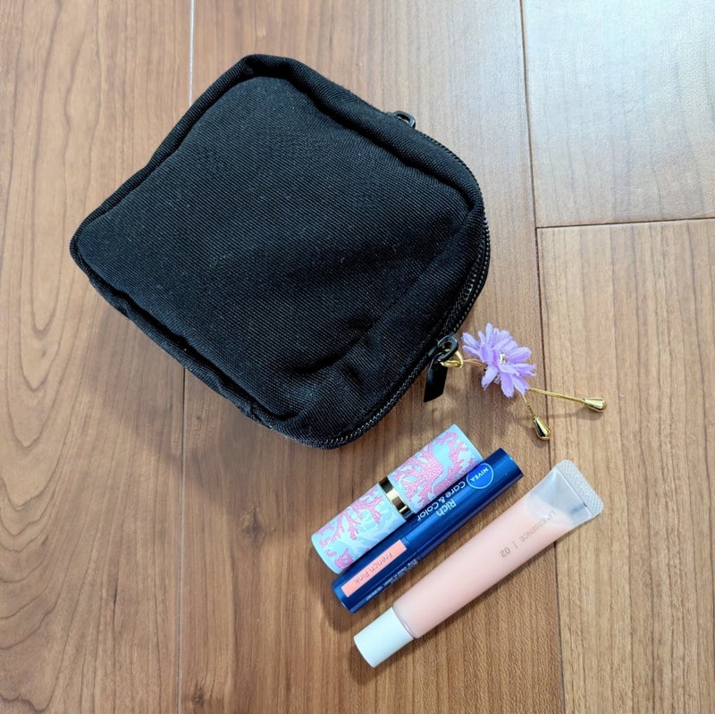 リップポーチとプチプラリップ