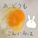 双子卵イラスト