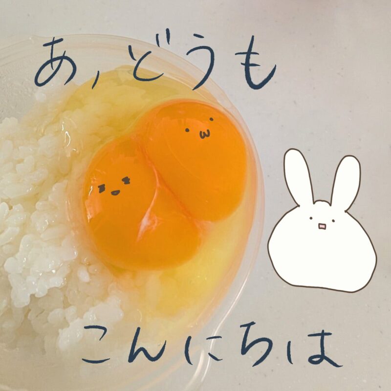 双子卵イラスト