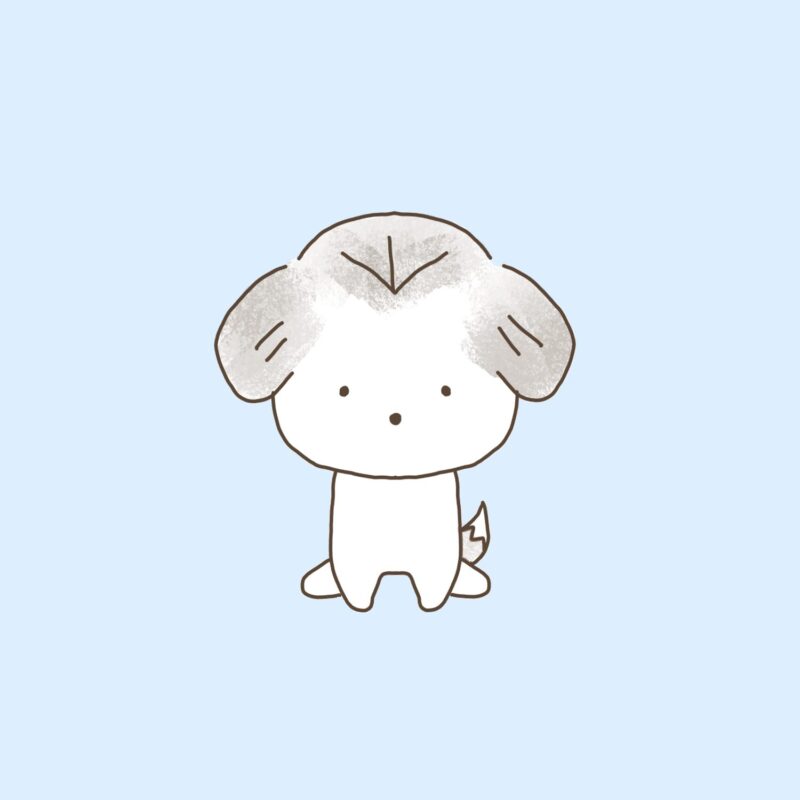 シーズー