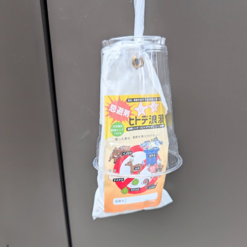 ヒトデ浪漫 350g