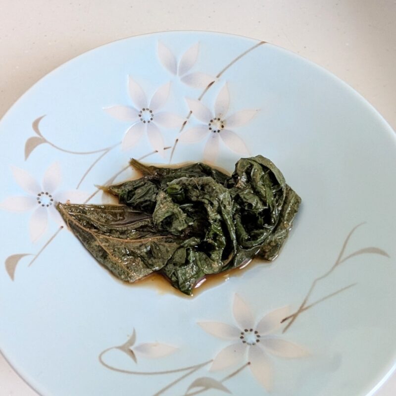 しそ 水耕栽培 収穫