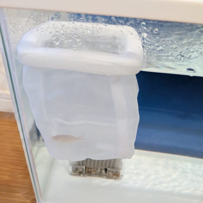 ダイソー 隔離ネット