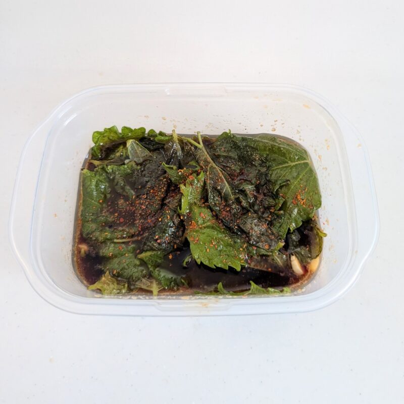 しそ 水耕栽培 漬け