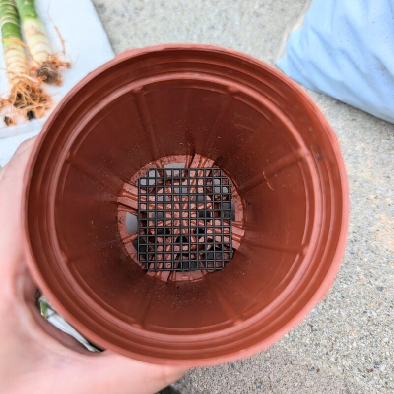 鉢底ネット付きの植木鉢