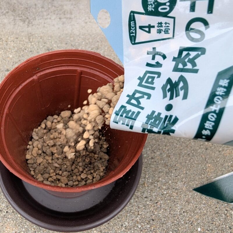 ダイソー プロトリーフの土